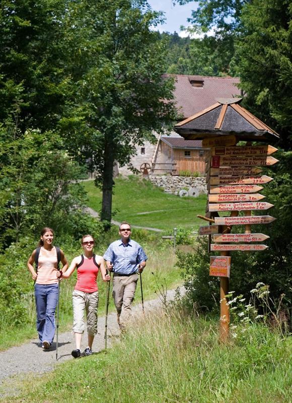 Landgasthof Am Sonnenhang Vohenstrauss Eksteriør billede